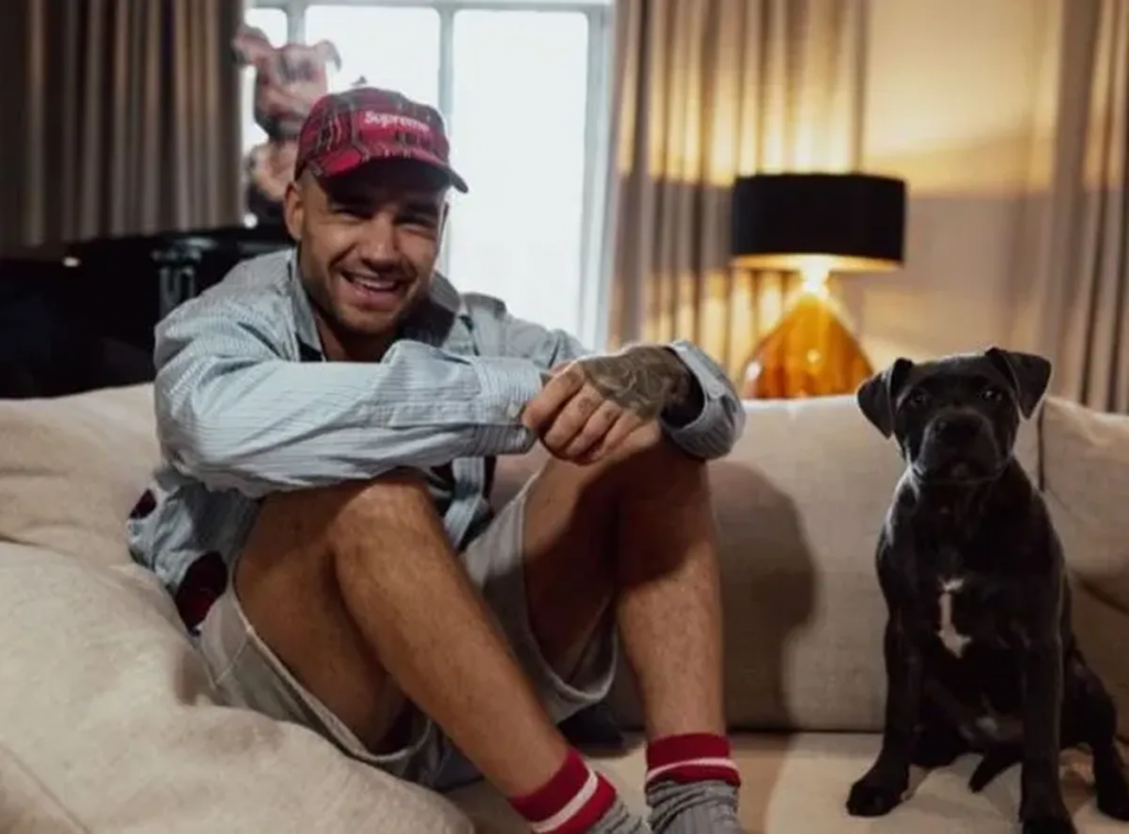 Muerte de Liam Payne: qué revela la autopsia preliminar