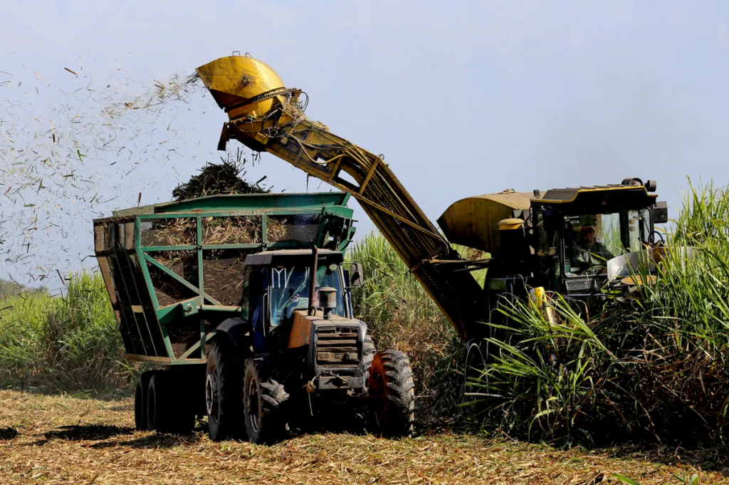 Zafra: se superó en producción de azúcar y alcohol a la temporada 2023